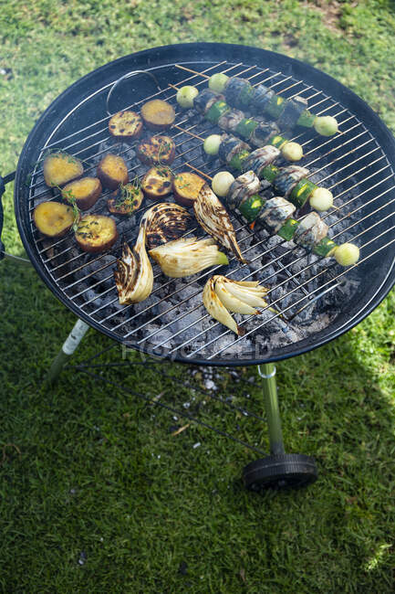 Fish skewers, potatoes and fennel on a grill — Stock Photo