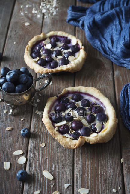 Close-up shot of delicious Blueberry tartlets (vegan) — Stock Photo