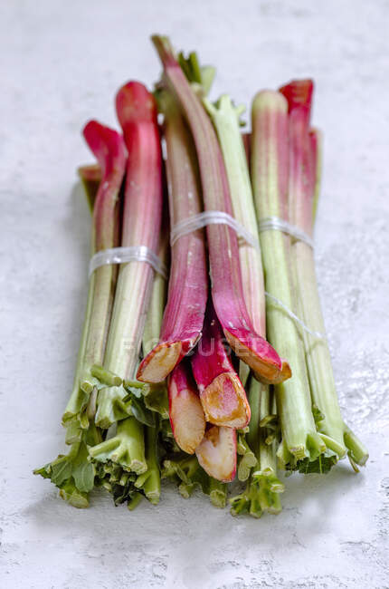 Paquets de lances fraîches de rhubarbe — Photo de stock