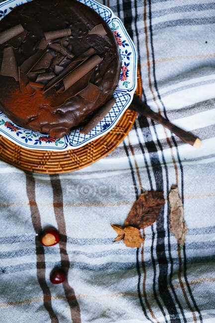 Herbst Schokoladenkuchen mit Blättern — Stockfoto