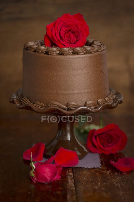 Close-up de delicioso bolo de chocolate — Fotografia de Stock
