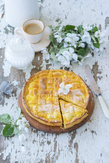 Torta de maçã com recheio de queijo cottage — Fotografia de Stock