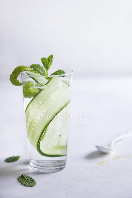 Gin and tonic with cucumber, mint and lime zest — Stock Photo
