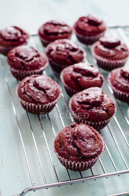 Red velvet cupcakes on wire rack — Stock Photo