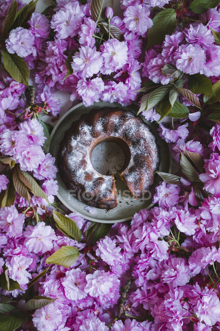 Zitronenjoghurtkuchen mit Hintergrund aus rosa Blüten — Stockfoto
