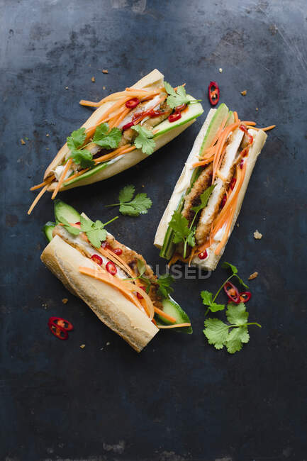 Sandwiches Banh Mi con escalope de pollo empanado - foto de stock