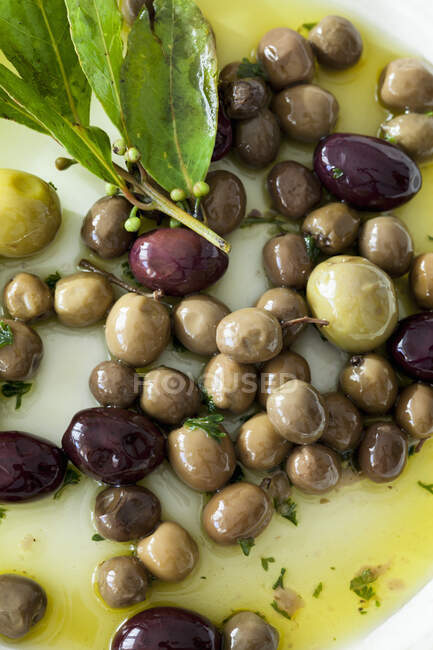 Aceitunas en aceite de oliva con laurel - foto de stock