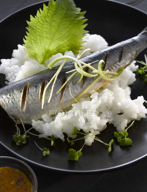 Una sardina al vapor sobre arroz con una hoja de shiso - foto de stock