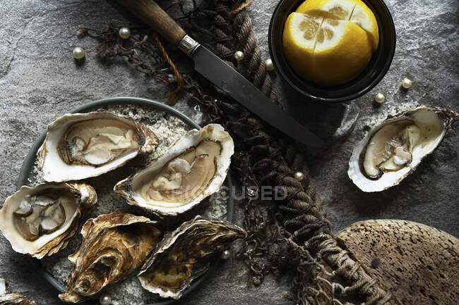 Oysters on half shell on stone background with lemon — Stock Photo