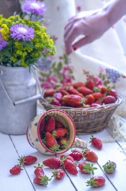 Strawberries in basket and spilled from cup with hand on background — Stock Photo