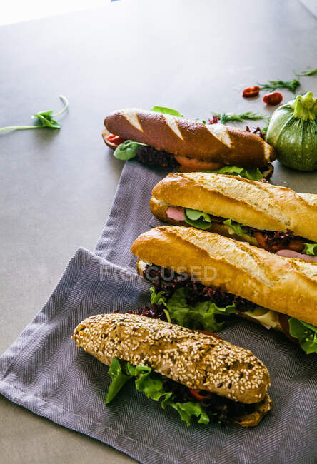 Plan rapproché de délicieux quatre sandwichs baguette différents — Photo de stock
