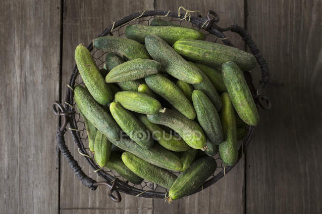 Small cucumbers in a wire basket — Stock Photo