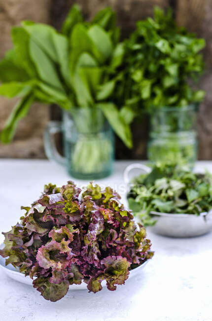 Ciotole di foglie di insalata e tazze di vetro con foglie sullo sfondo — Foto stock