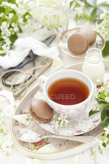 Tazza di tè rooibos con amaretti al cioccolato e latte in mini bottiglia — Foto stock