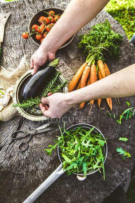 Légumes fraîchement récoltés : aubergines, tomates, carottes et fusée — Photo de stock