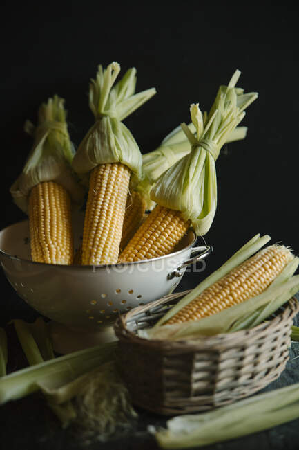 Corncobs in a sieve and a basket — Stock Photo