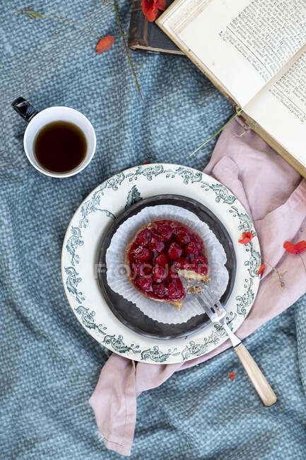 Pastel de frambuesas con una taza de té y un libro - foto de stock