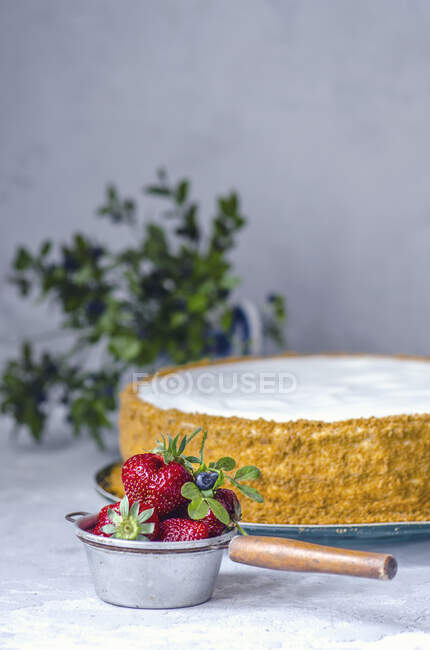 Bolo de queijo e bagas frescas — Fotografia de Stock