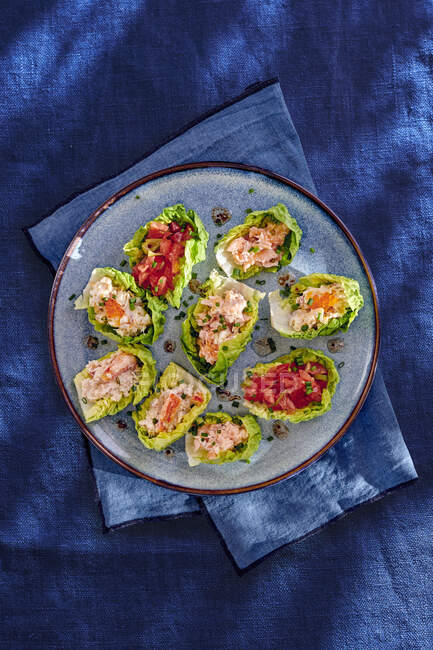Rillette mit Fisch und Kaviar in Salatblättern — Stockfoto
