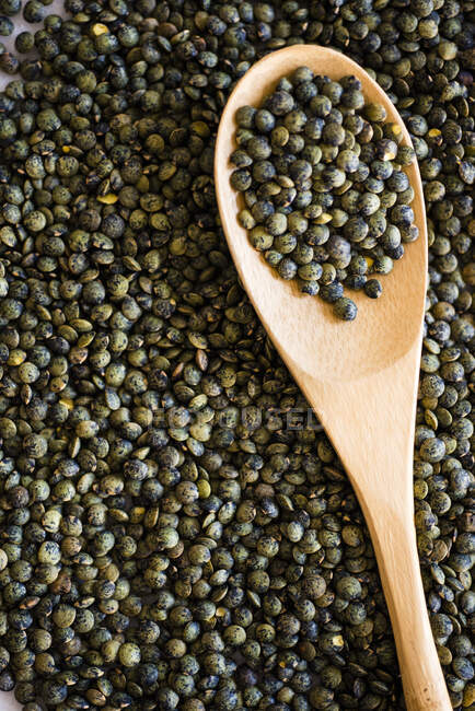 Lentils on a wooden spoon — Stock Photo