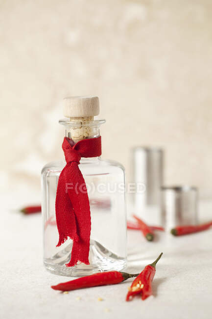 Botella de vino tinto con un vaso de agua sobre un fondo blanco - foto de stock