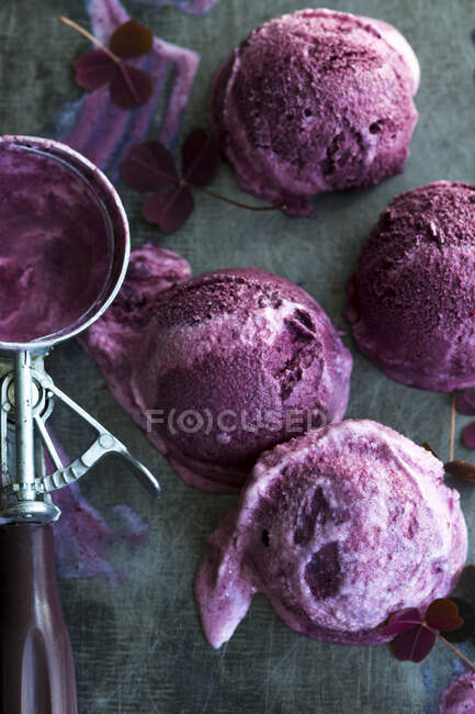 Hausgemachtes Kirschjoghurt-Eis: Eiskugeln mit Eiskugel — Stockfoto
