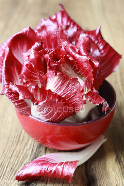 Листя червоного радикального салату в червоній мисці — стокове фото