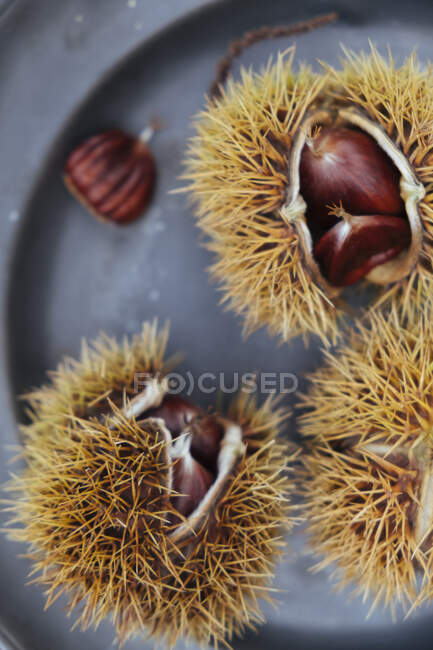 Sweet chestnuts in shells (close up) — Stock Photo