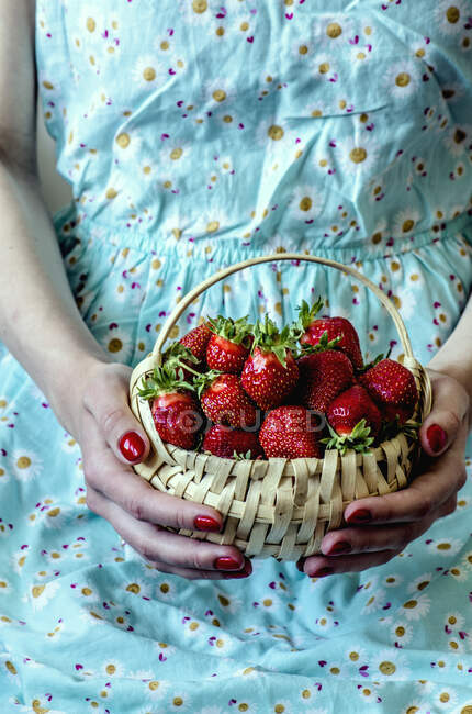 Plan recadré de femme tenant panier de fraises fraîches — Photo de stock