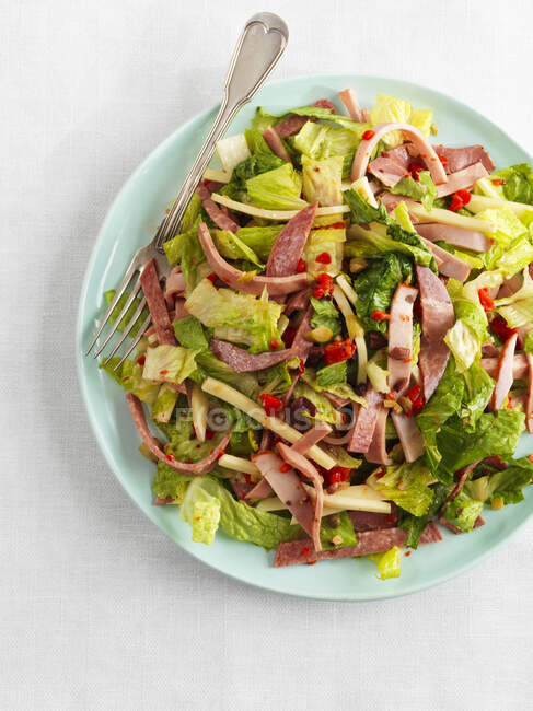 Salade muffuletta, gros plan — Photo de stock