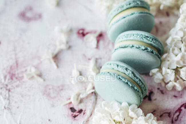 Blue macarons and white lilacs, close up shot — Stock Photo