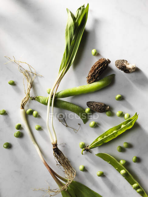 Morels, ramps and peas on marble — Stock Photo
