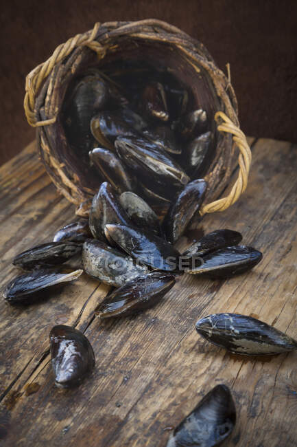 Fresh, organic mussels in a basket — Stock Photo