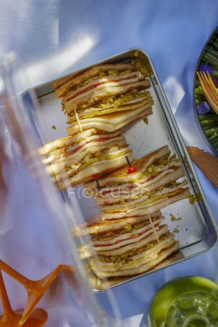 Primer plano de deliciosos sándwiches para un picnic - foto de stock