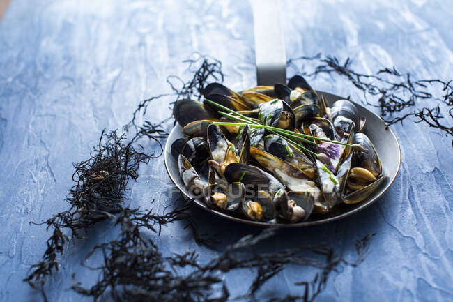 Mussels in white wine sauce — Stock Photo