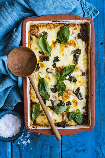 Zucchini Parmigiana (zucchini bake) — Stock Photo