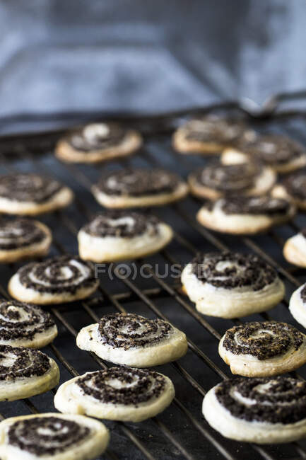 Spiral biscuits with poppy seeds on rack — Stock Photo