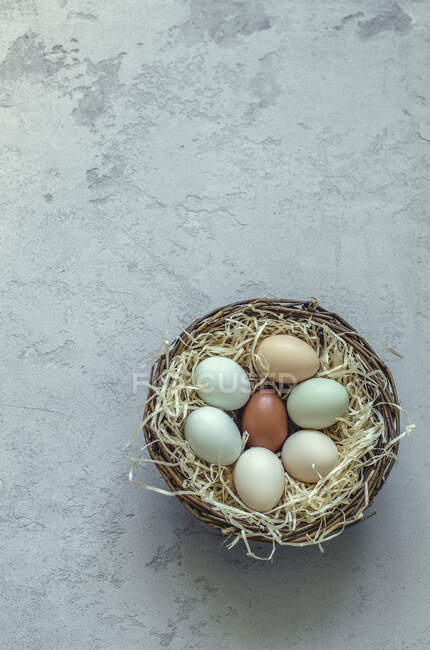 Different coloured eggs in a nest — Stock Photo
