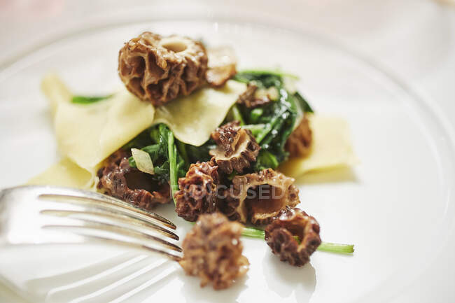 Massa com espinafre e cogumelos morel (close-up) — Fotografia de Stock