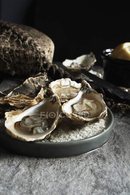 Oysters on half shell — Stock Photo