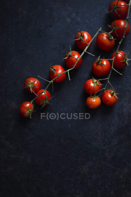 Tomatoes on the vine — Stock Photo