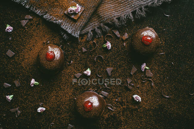 Una tarta de chocolate con cerezas - foto de stock