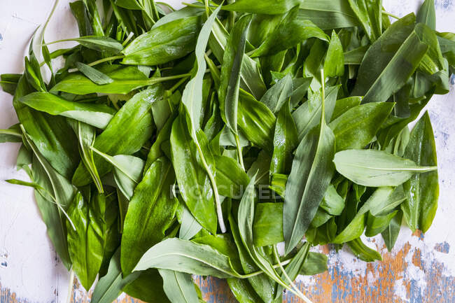 Свіже зелене листя шпинату на білому тлі — стокове фото