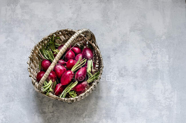 Radishes in a basket — Stock Photo