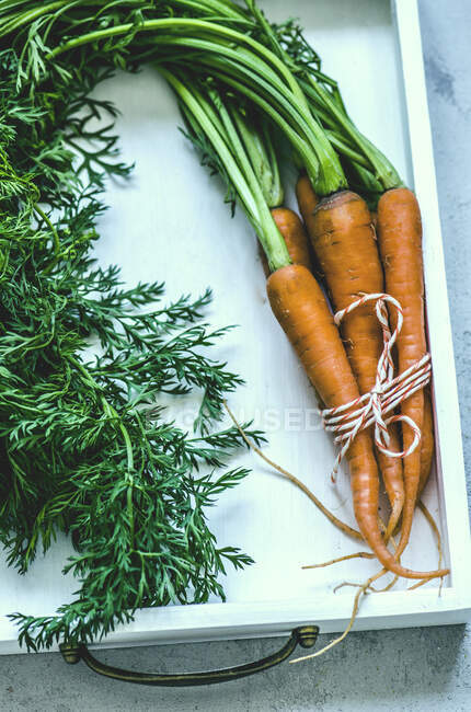 Bouquet de carottes avec tiges vertes attachées avec ficelle dans un plateau en bois blanc — Photo de stock