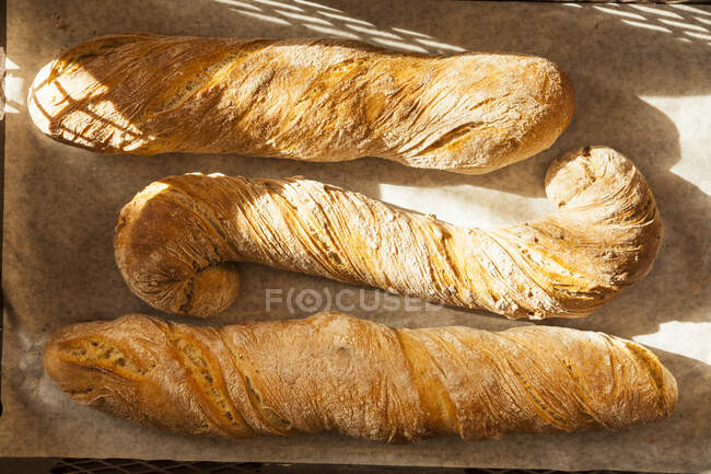 Three freshly baked baguettes on a baking sheet (top view) — Stock Photo
