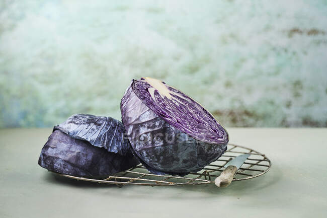 Red Cabbage on a rack — Stock Photo