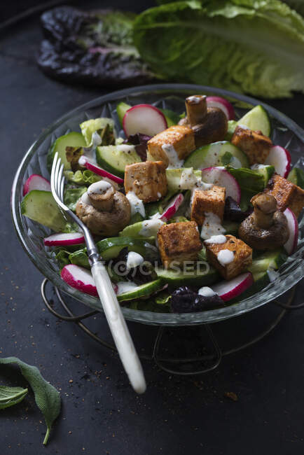 A salad with fried tofu, mushrooms and herb dressing — Stock Photo