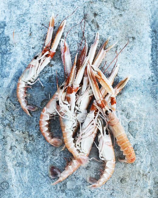 Fresh sea shrimps, closeup shot — Stock Photo