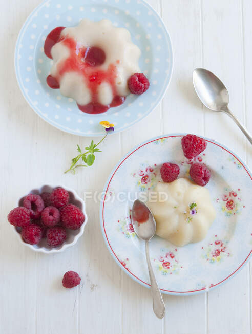 Yogurt con lamponi e menta su un piatto bianco — Foto stock